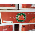 XIAMEN 316 BESTE CARROT